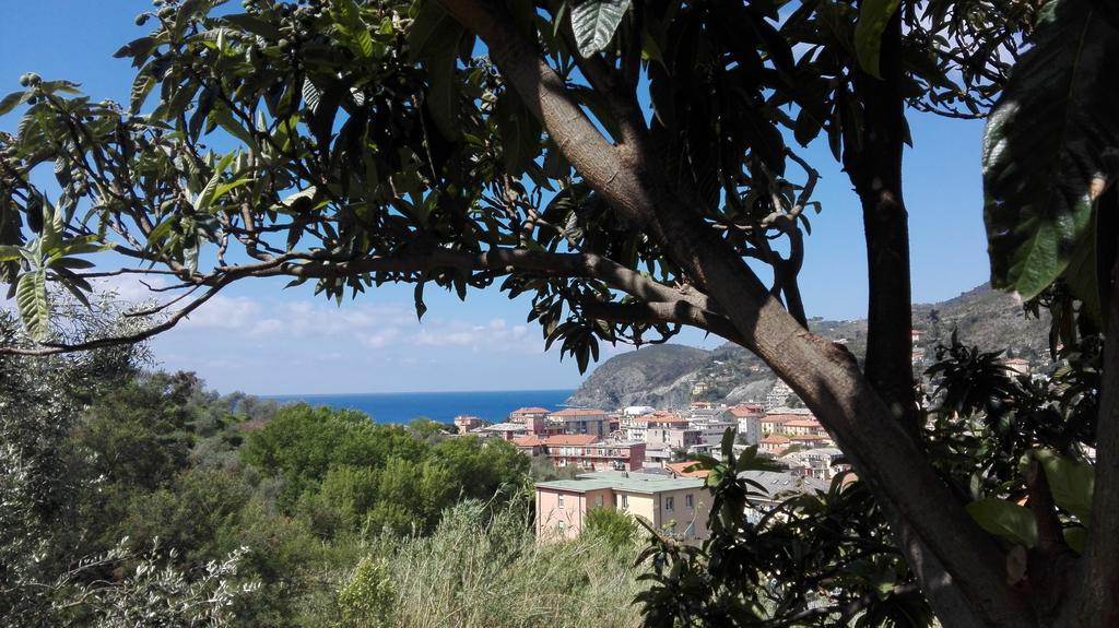 Dori Ξενοδοχείο Λεβάντο Εξωτερικό φωτογραφία